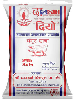 दियो बंगुरको दाना  र्स्टाटर